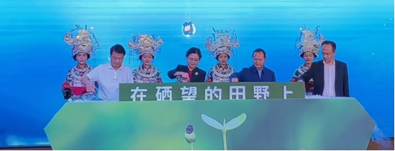 1691552210278415.png image.png